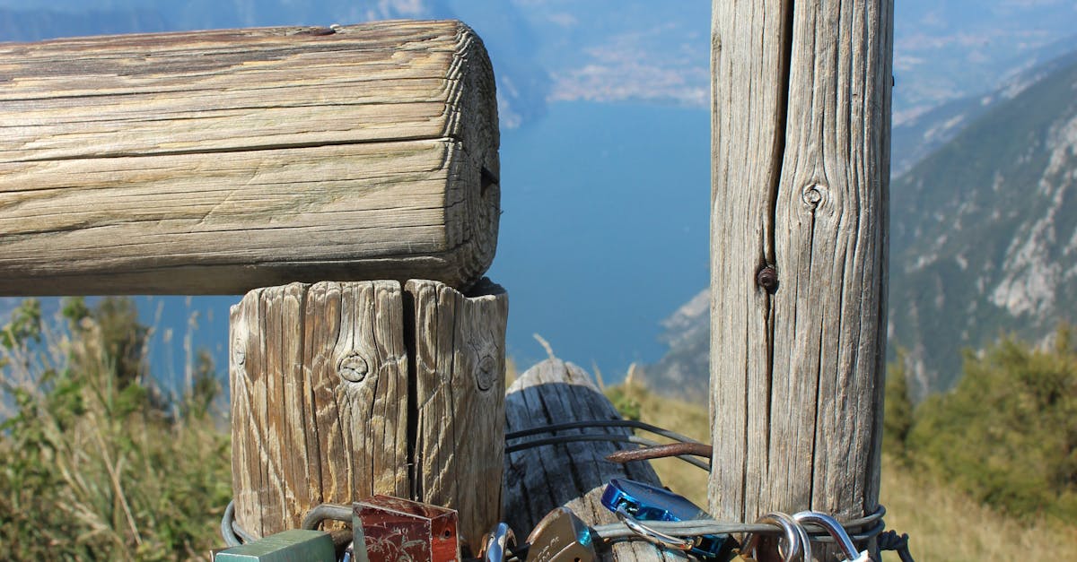 What is the average cost to replace a door lock?